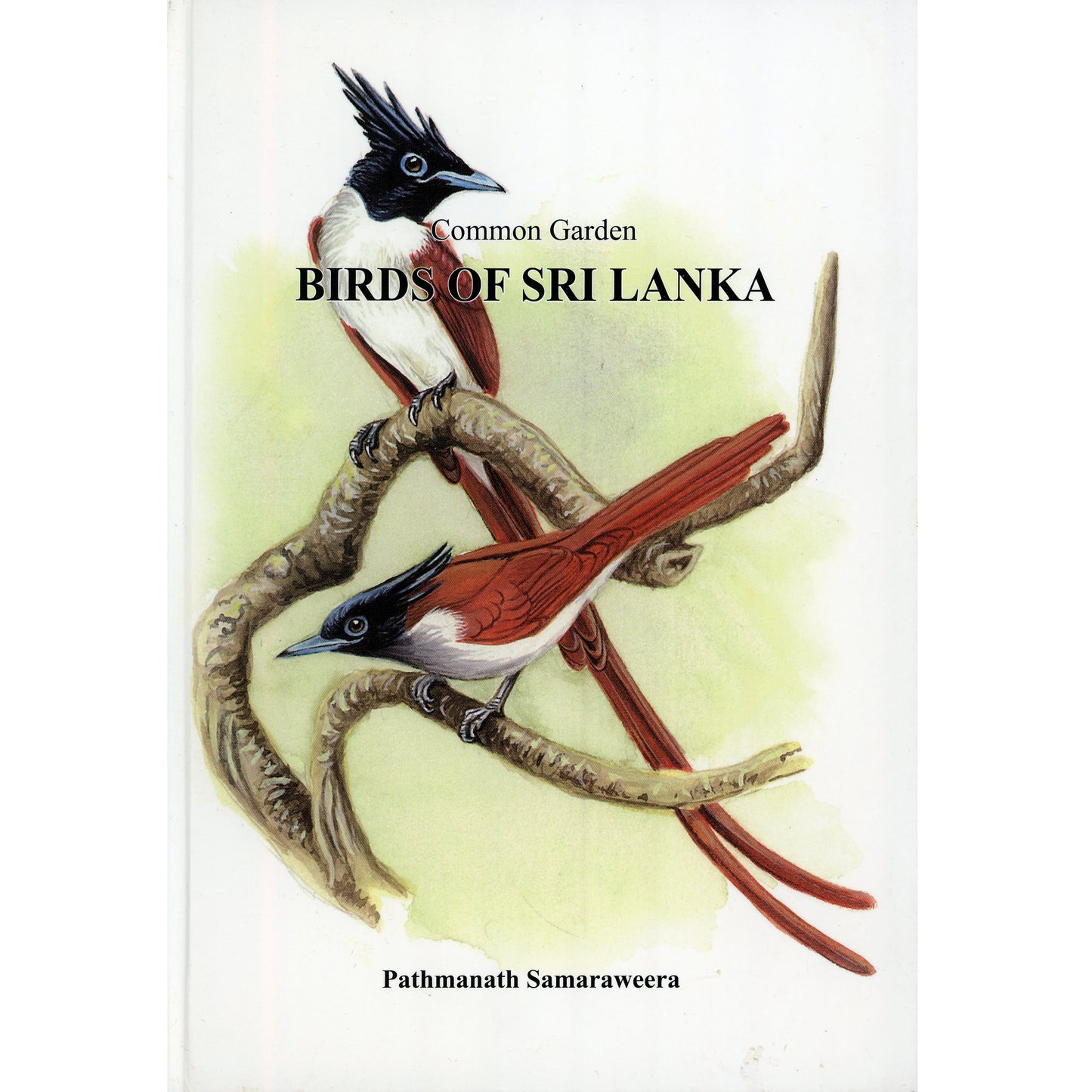 Common Garden Birds of Sri Lanka by Pathmanath Samaraweera
