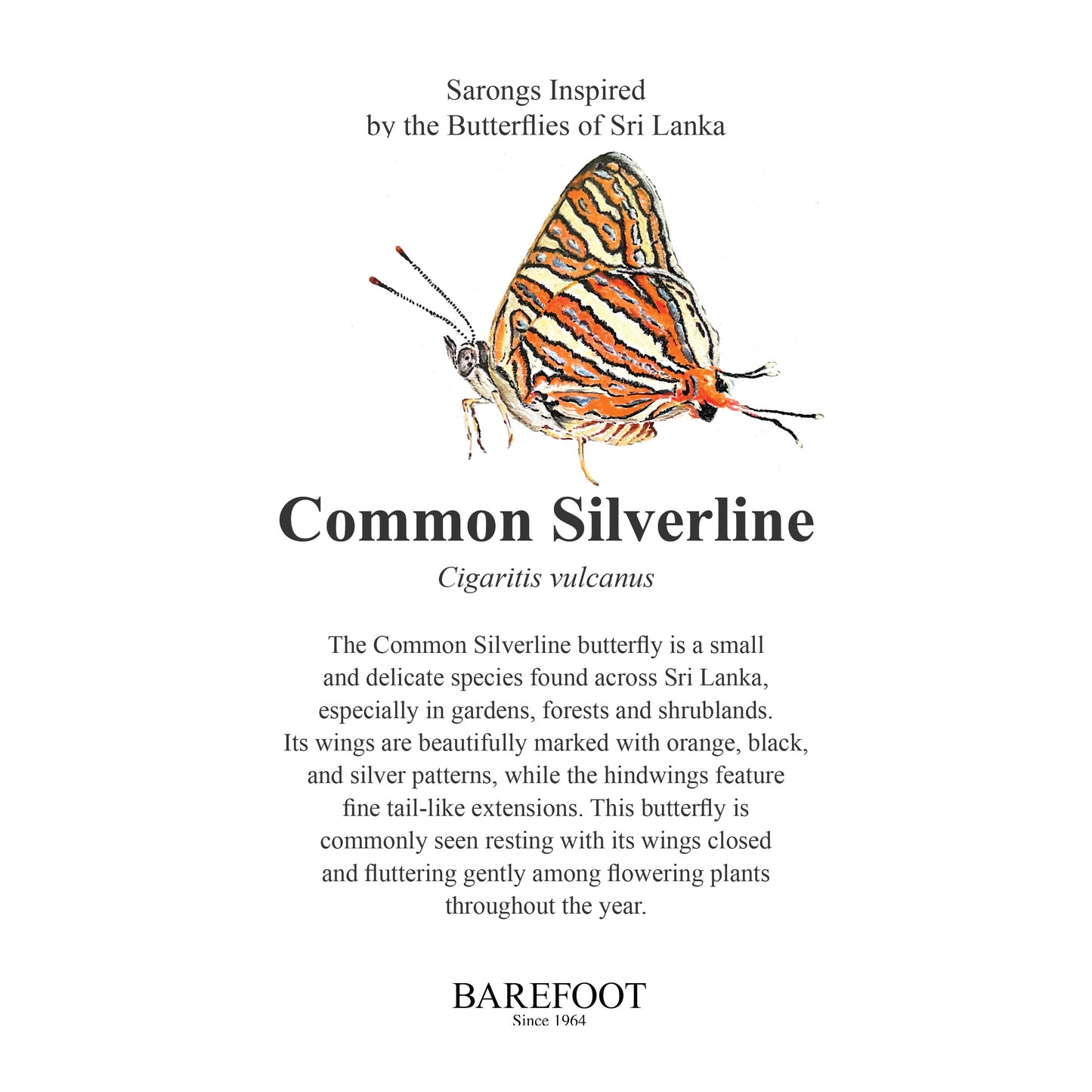 Designer Sarong: Common Silverline