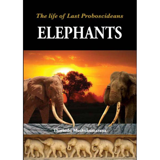 Elephants: The Life of Last Proboscideans by Tharindu Muthukumarana