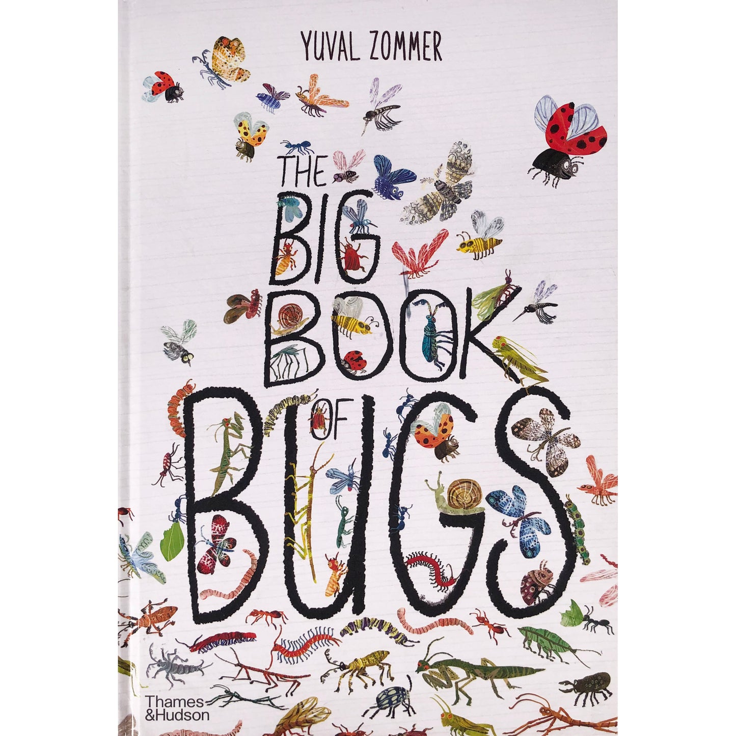 The Big Book of Bugs by Yuval Zommer