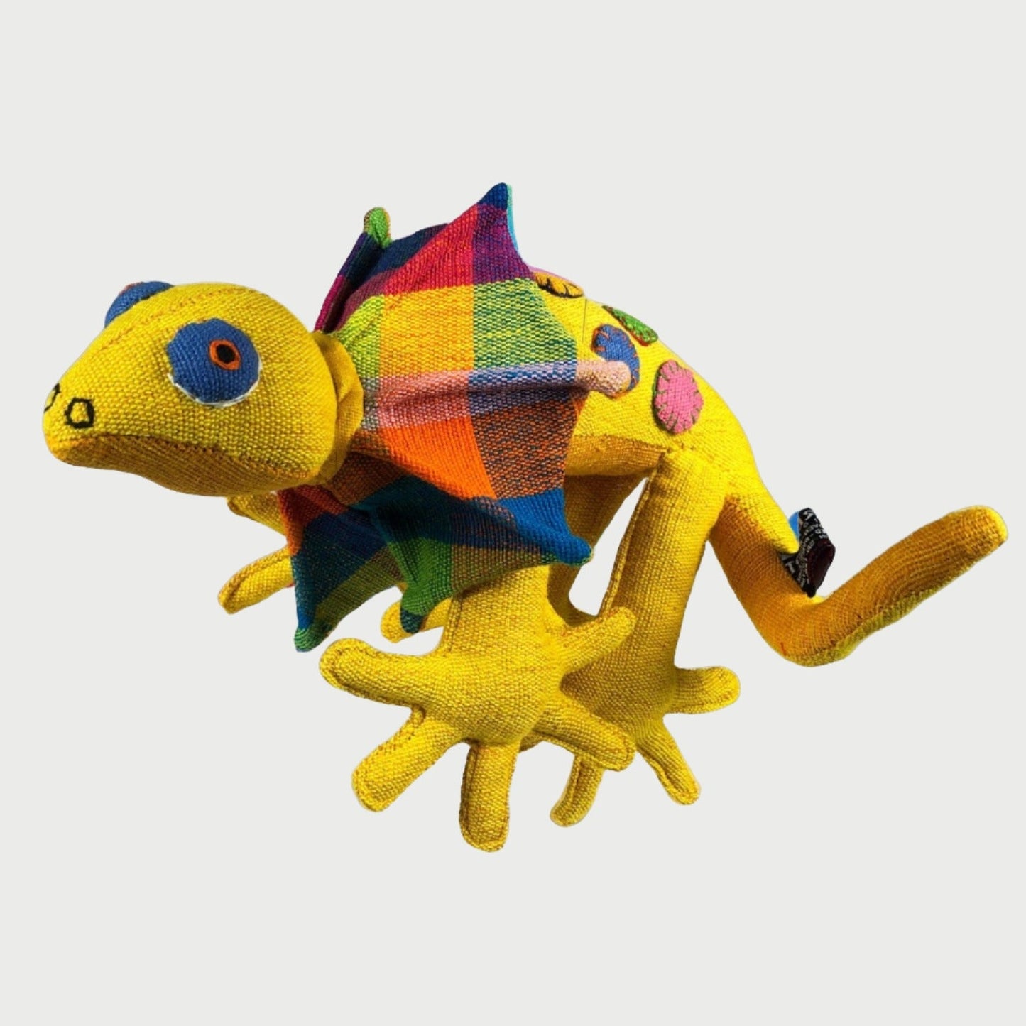 Frilled Neck Lizard.Small