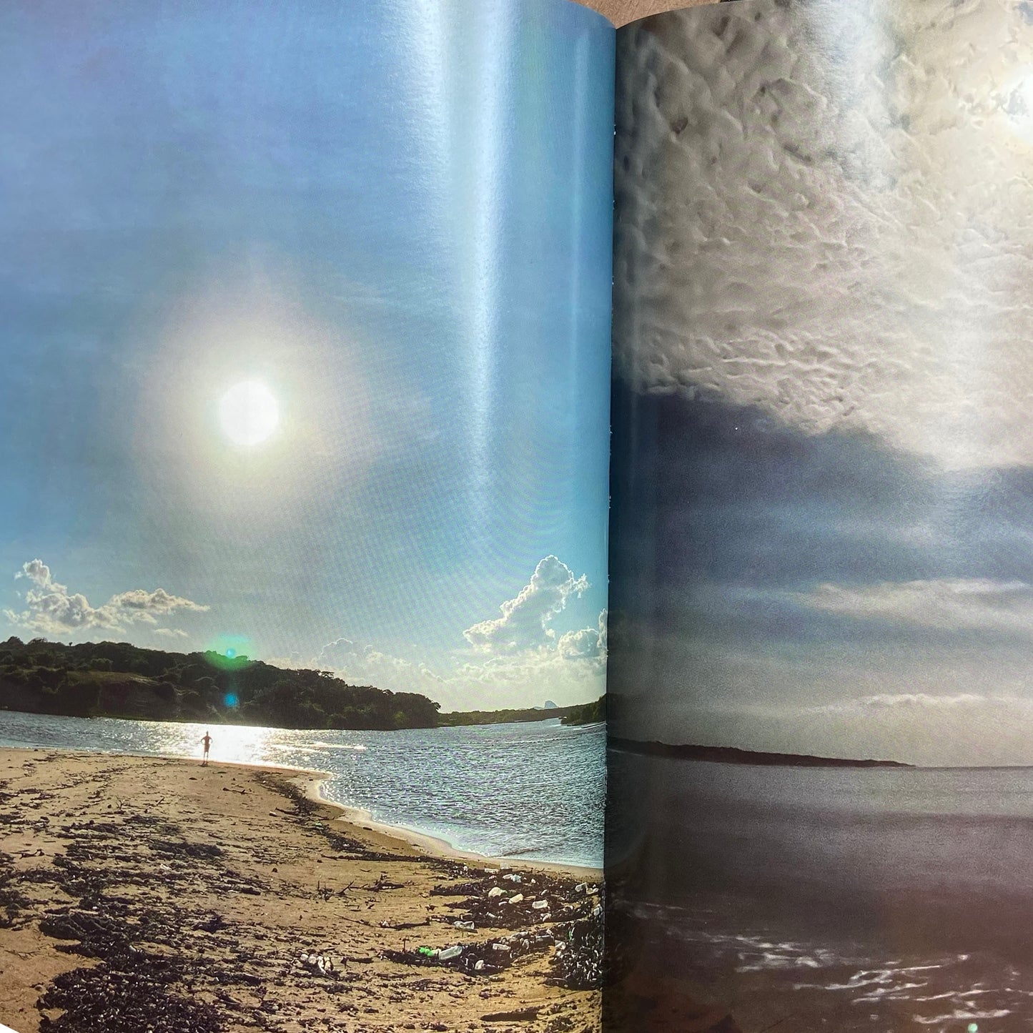 Discovering Yala by Navin Marapana