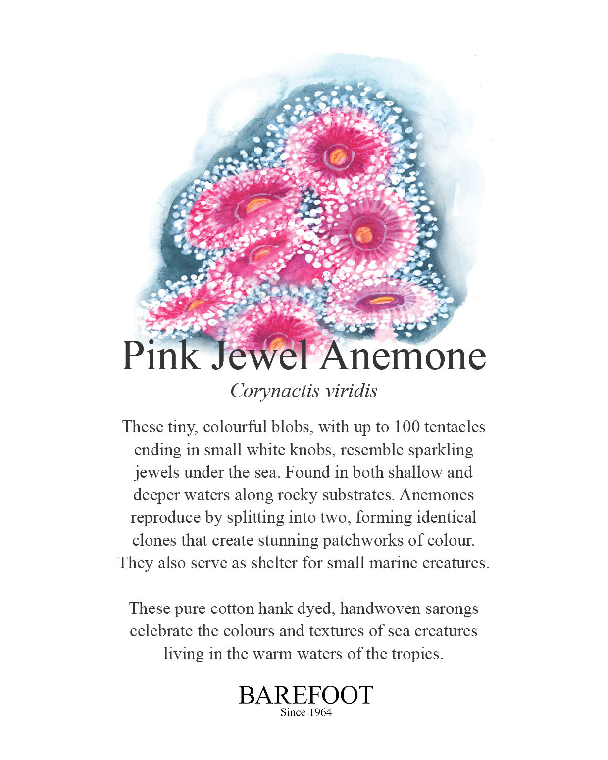 Designer Sarong: Pink Jewel Anemone