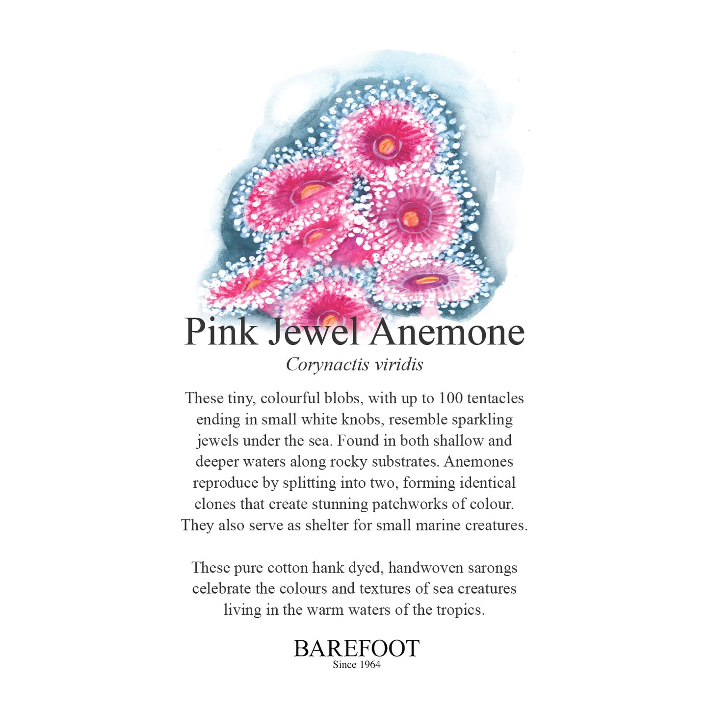 Designer Sarong: Pink Jewel Anemone