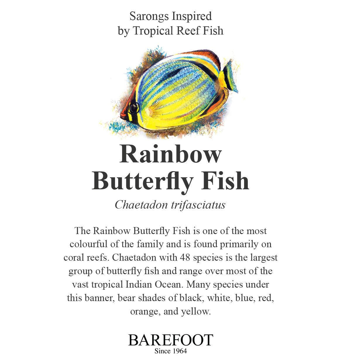 Designer Sarong: Rainbow Butterfly Fish