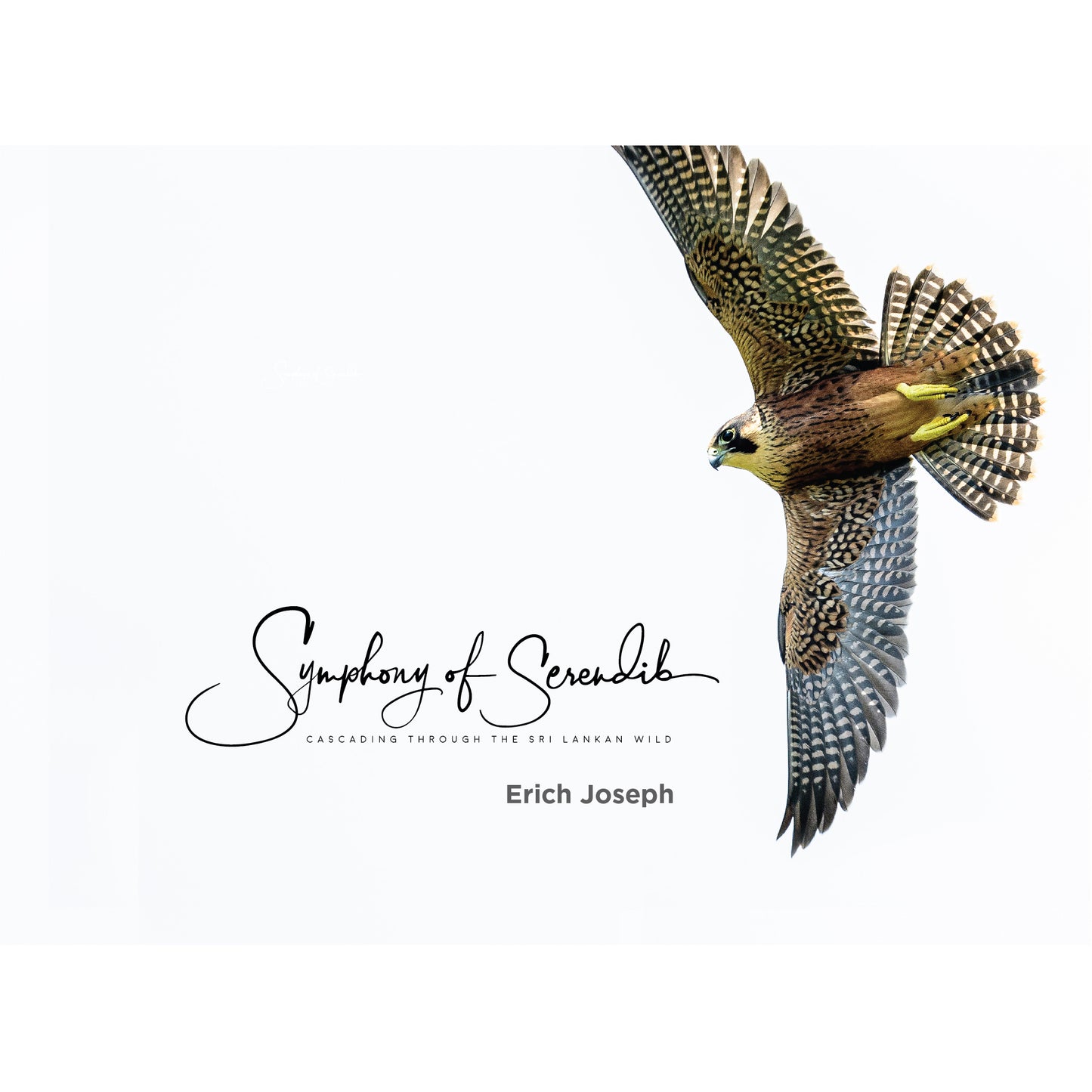 Symphony of Serendib by Eric Joseph