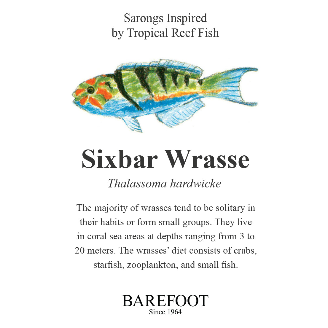 Designer Sarong: Sixbar Wrasse