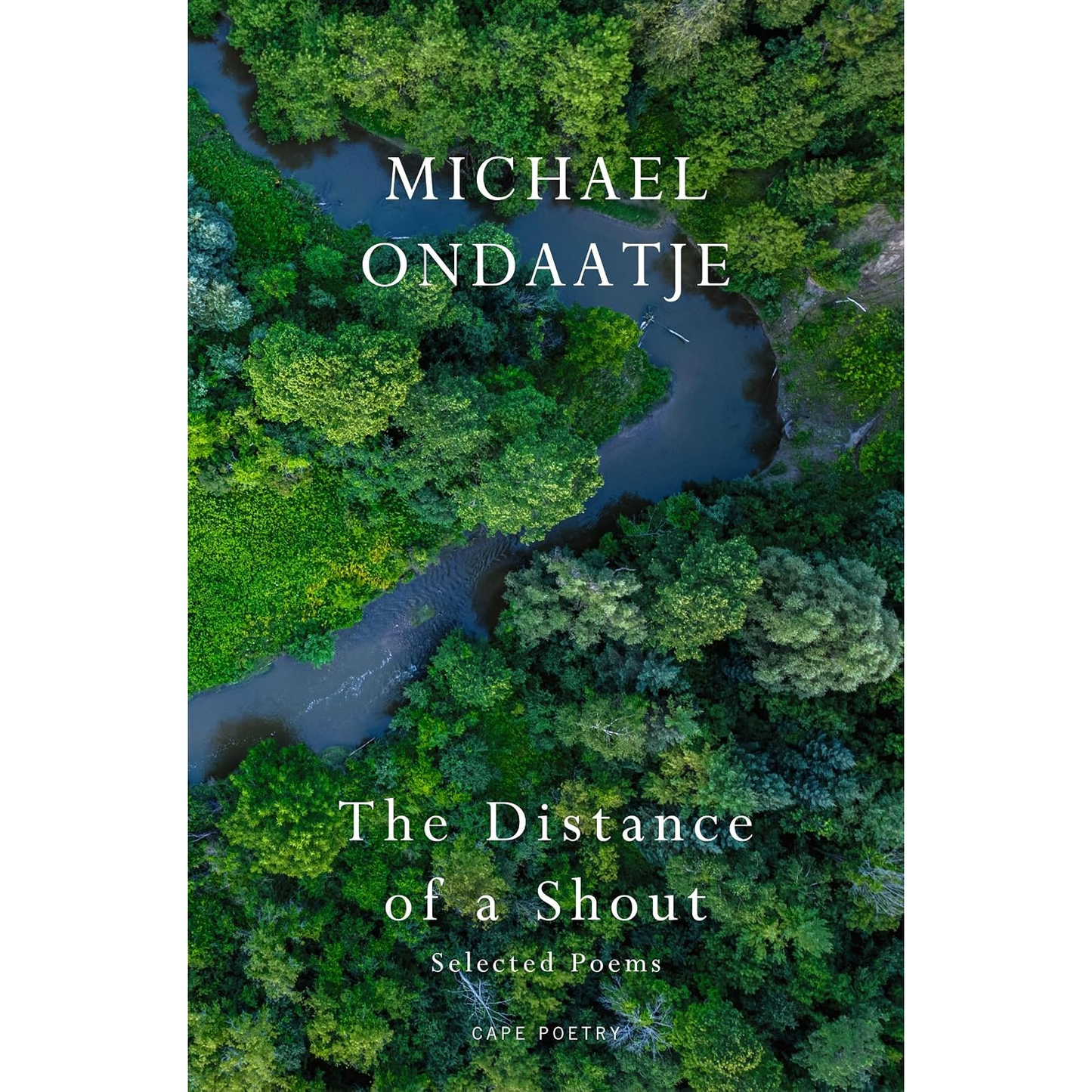 The Distance of a Shout by Michael Ondaatje