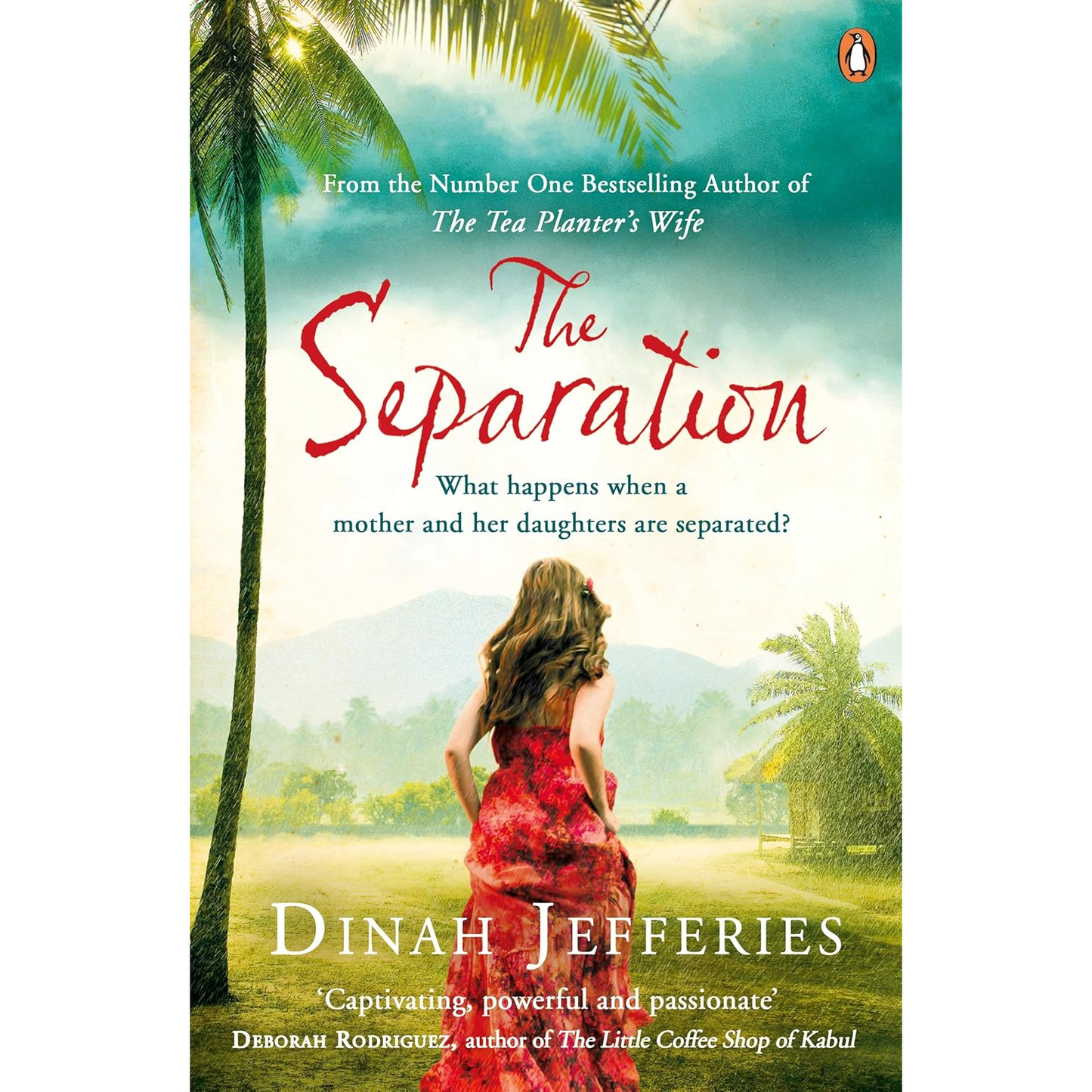 The Separation by Dinah Jefferies