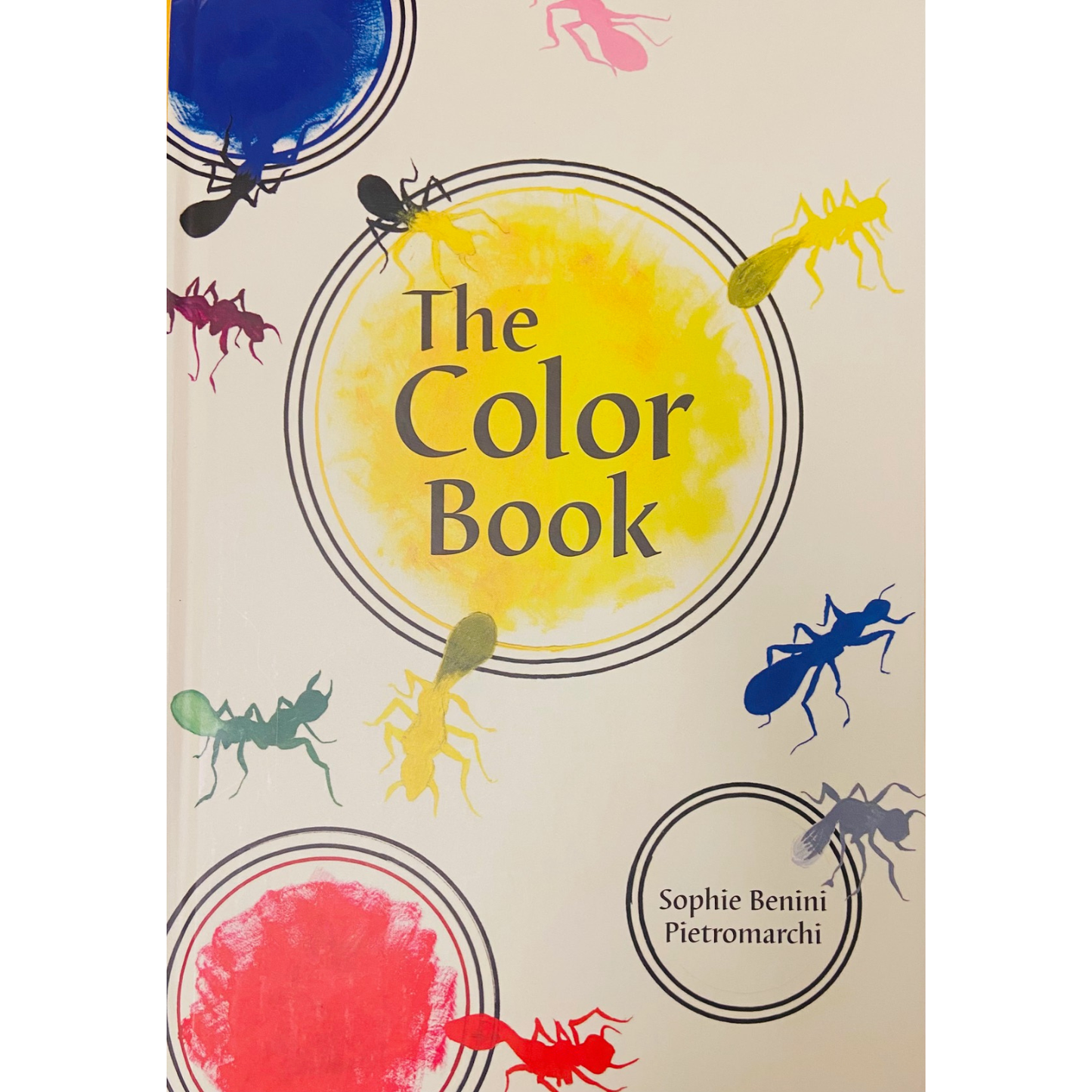 The Color Book by Sophie Benini Pietromarchi