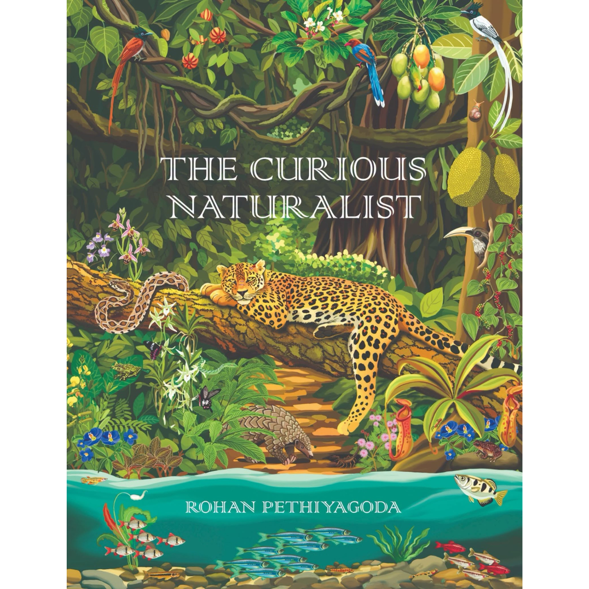 The Curious Naturalist: 2nd Edition by Rohan Pethiyagoda