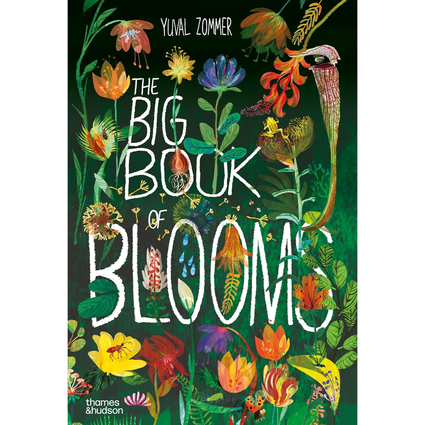 The Big Book of Blooms by Yuval Zommer