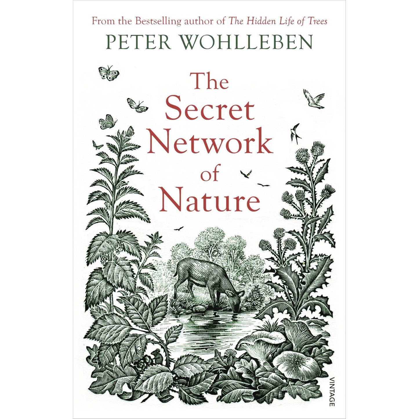 The Secret Network of Nature: The Delicate Balance of All Living Things by Peter Wohlleben