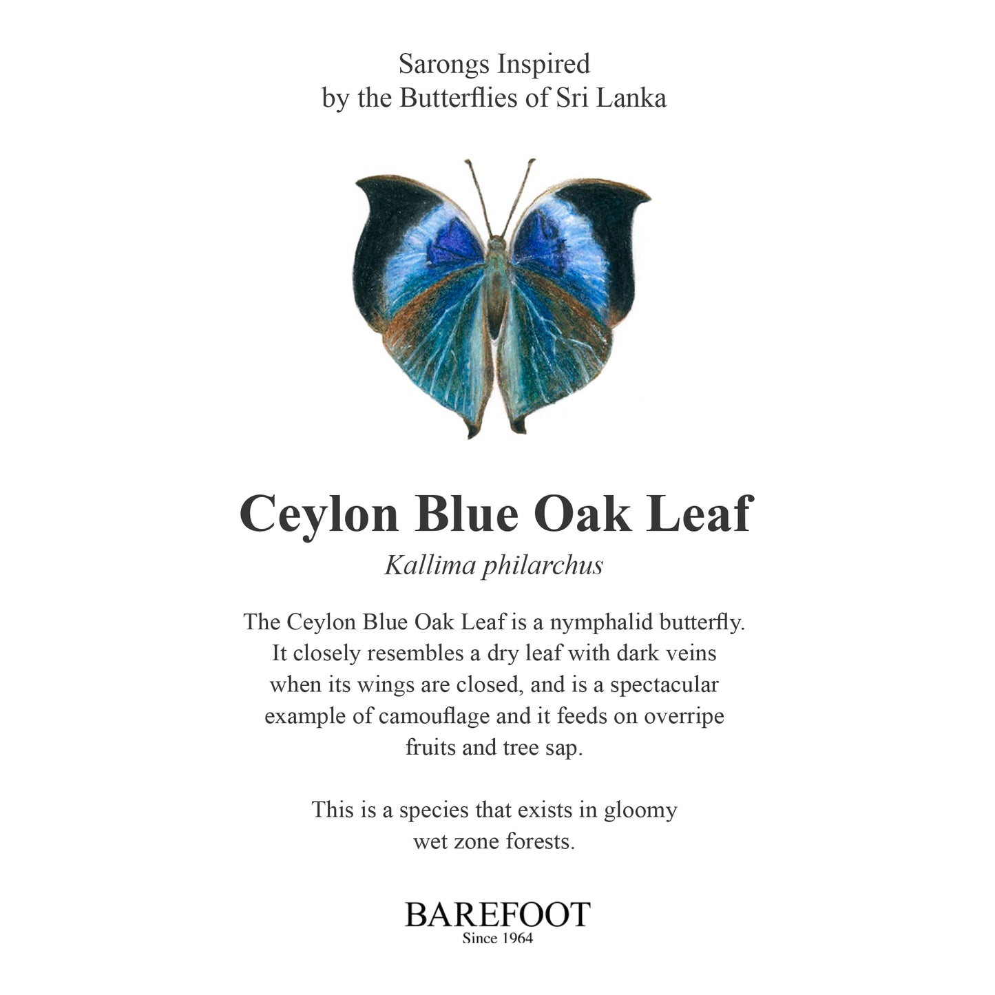 Designer Sarong: Ceylon Blue Oak Leaf
