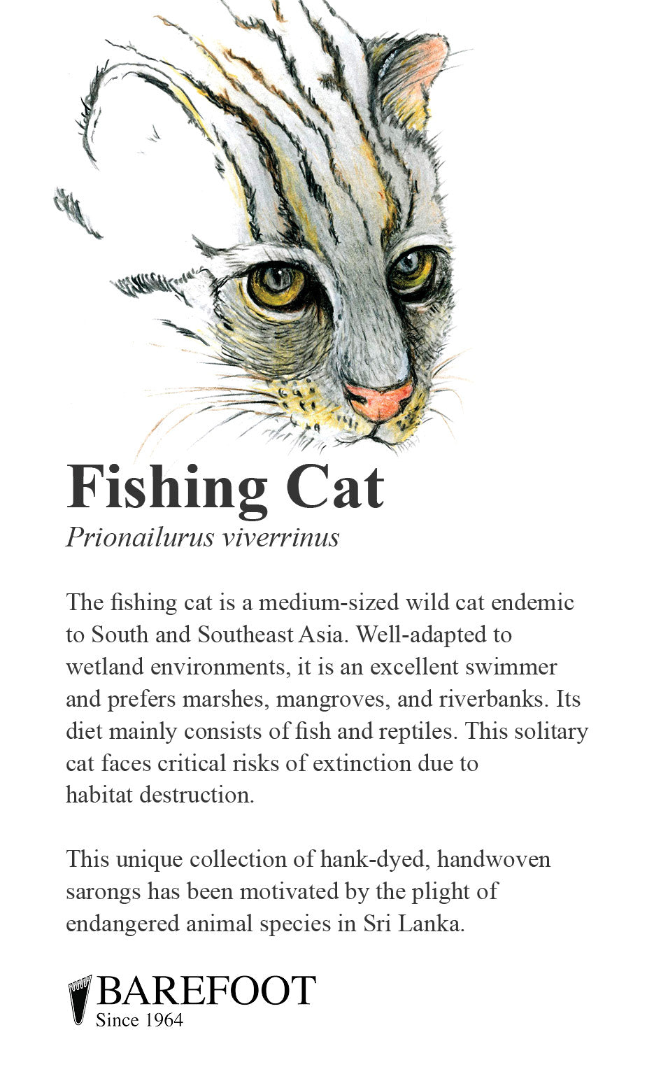 Designer Sarong: Fishing cat