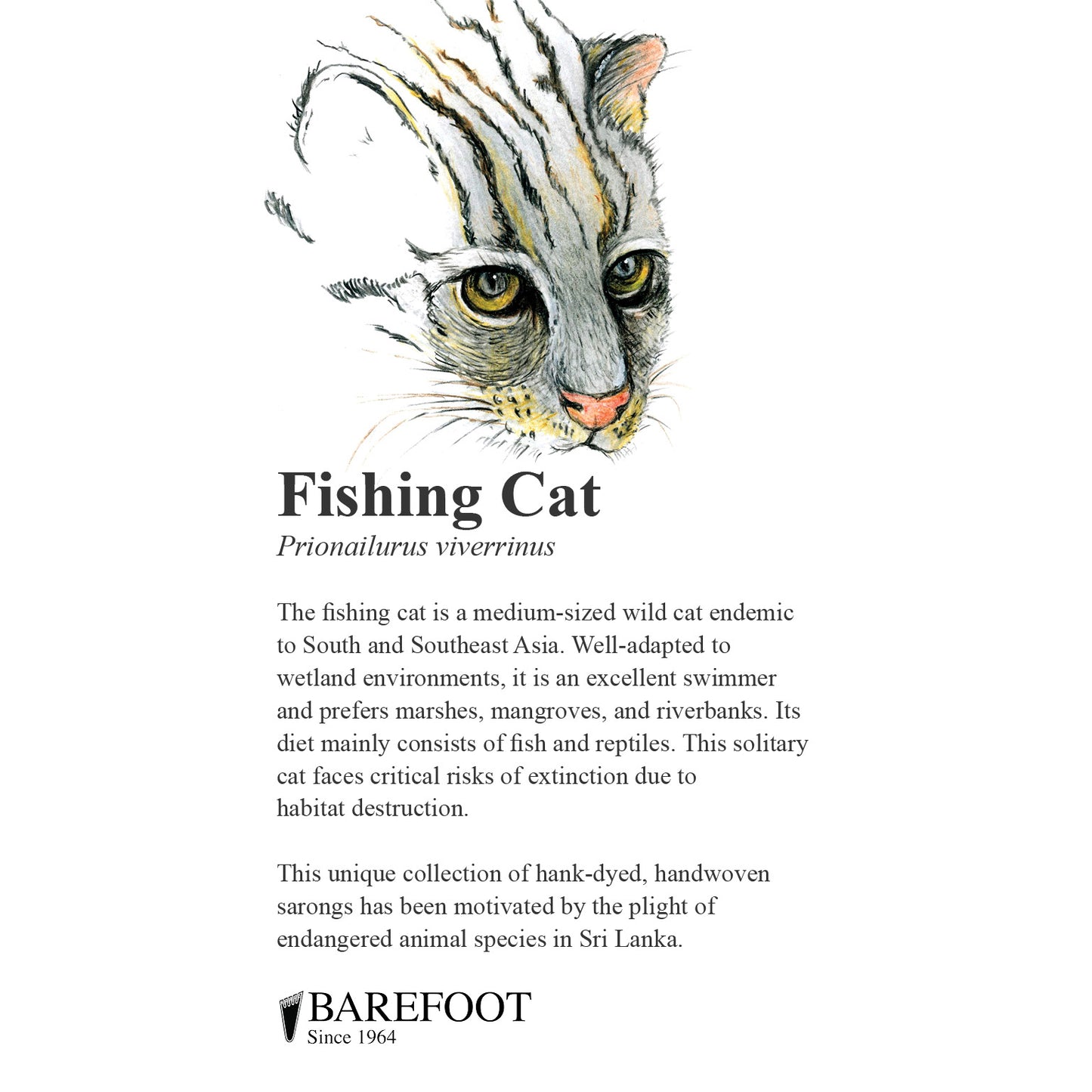 Designer Sarong: Fishing Cat