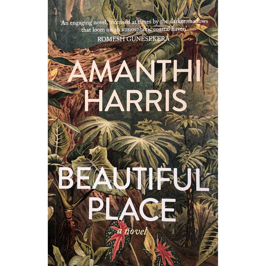 Beautiful Place by Amanthi Harris
