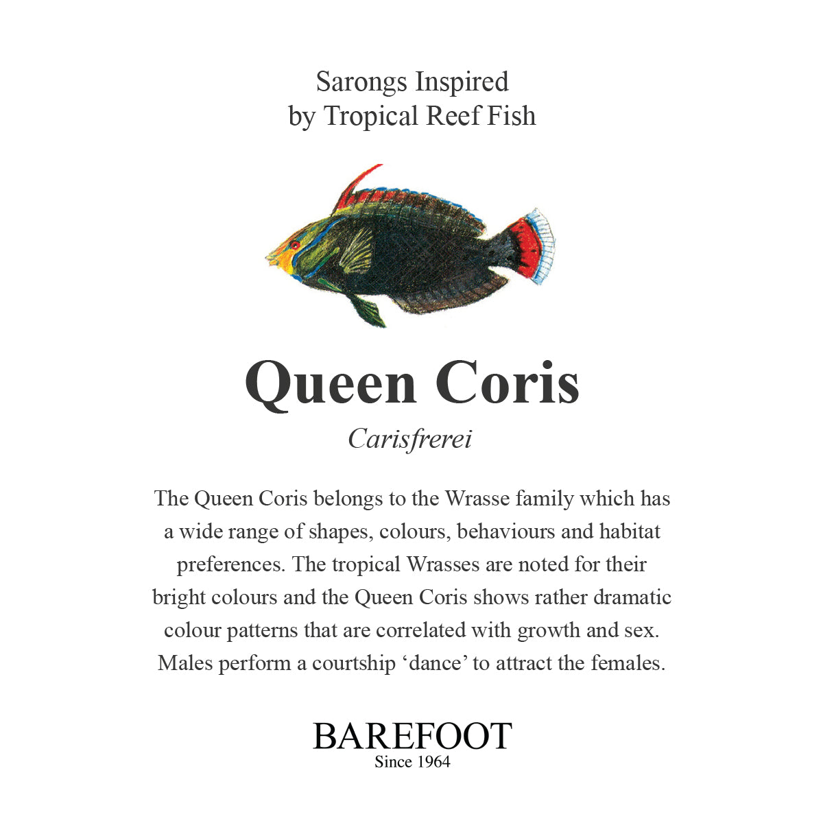 Designer Sarong: Queen Coris