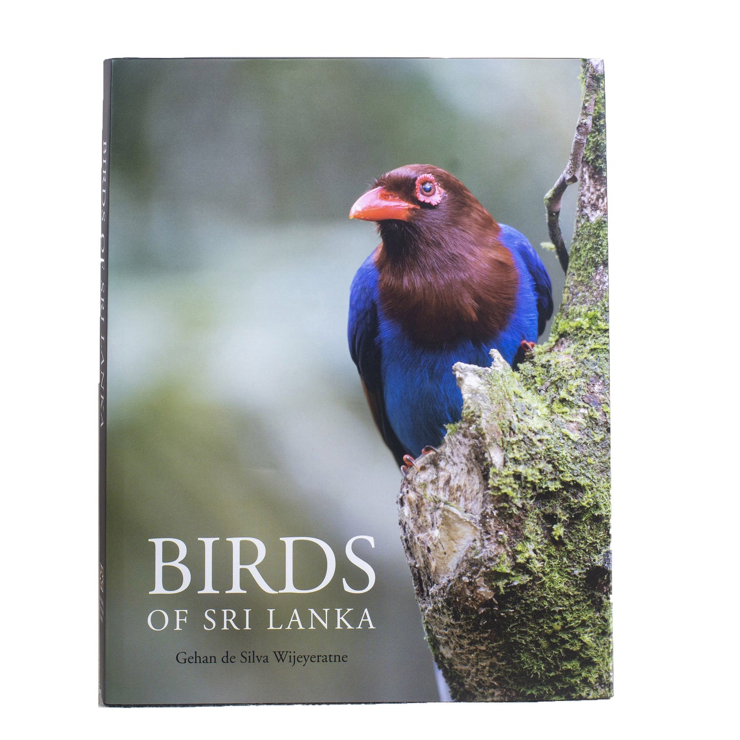 Birds of Sri Lanka by Gehan de Silva Wijeyaratne