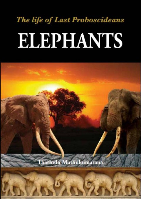 Elephants: The Life of Last Proboscideans by Tharindu Muthukumarana