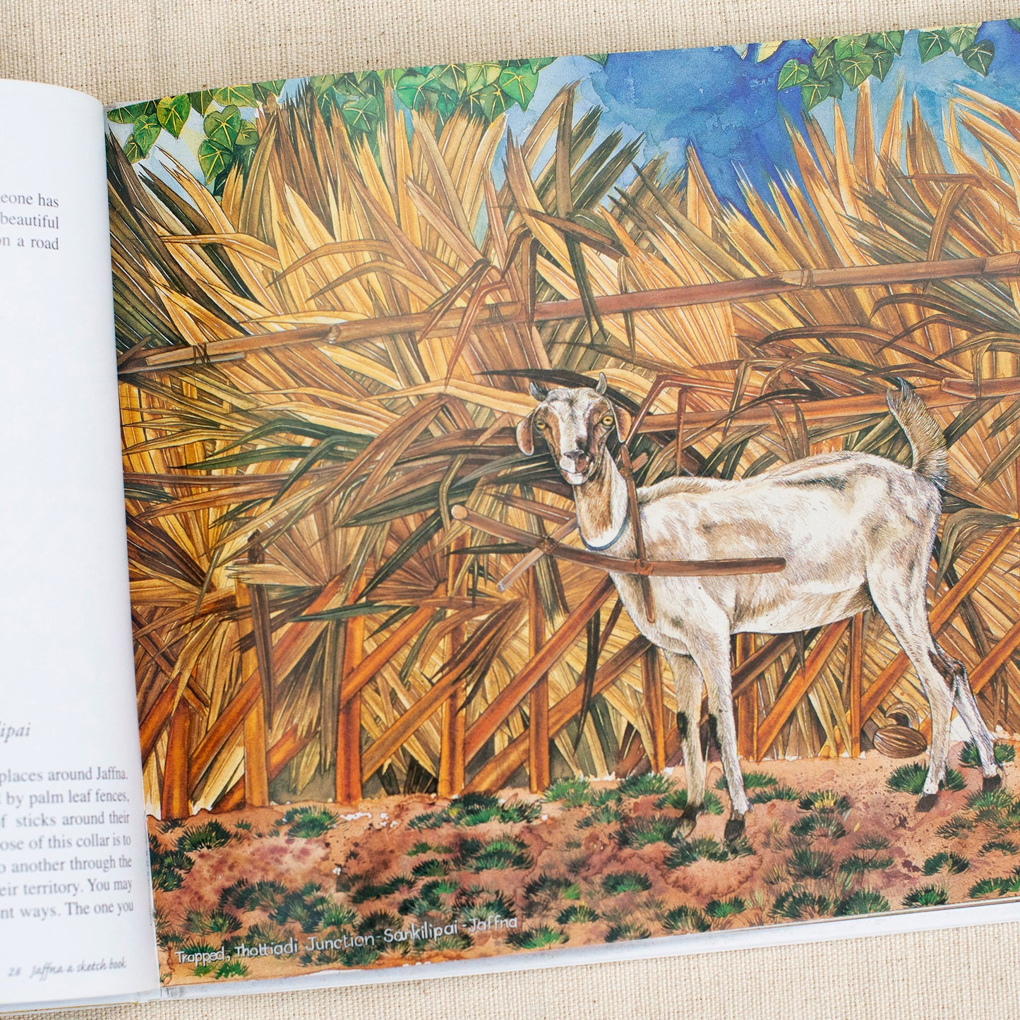 Jaffna - A Sketchbook by Weerakkodige Vasantha Perera