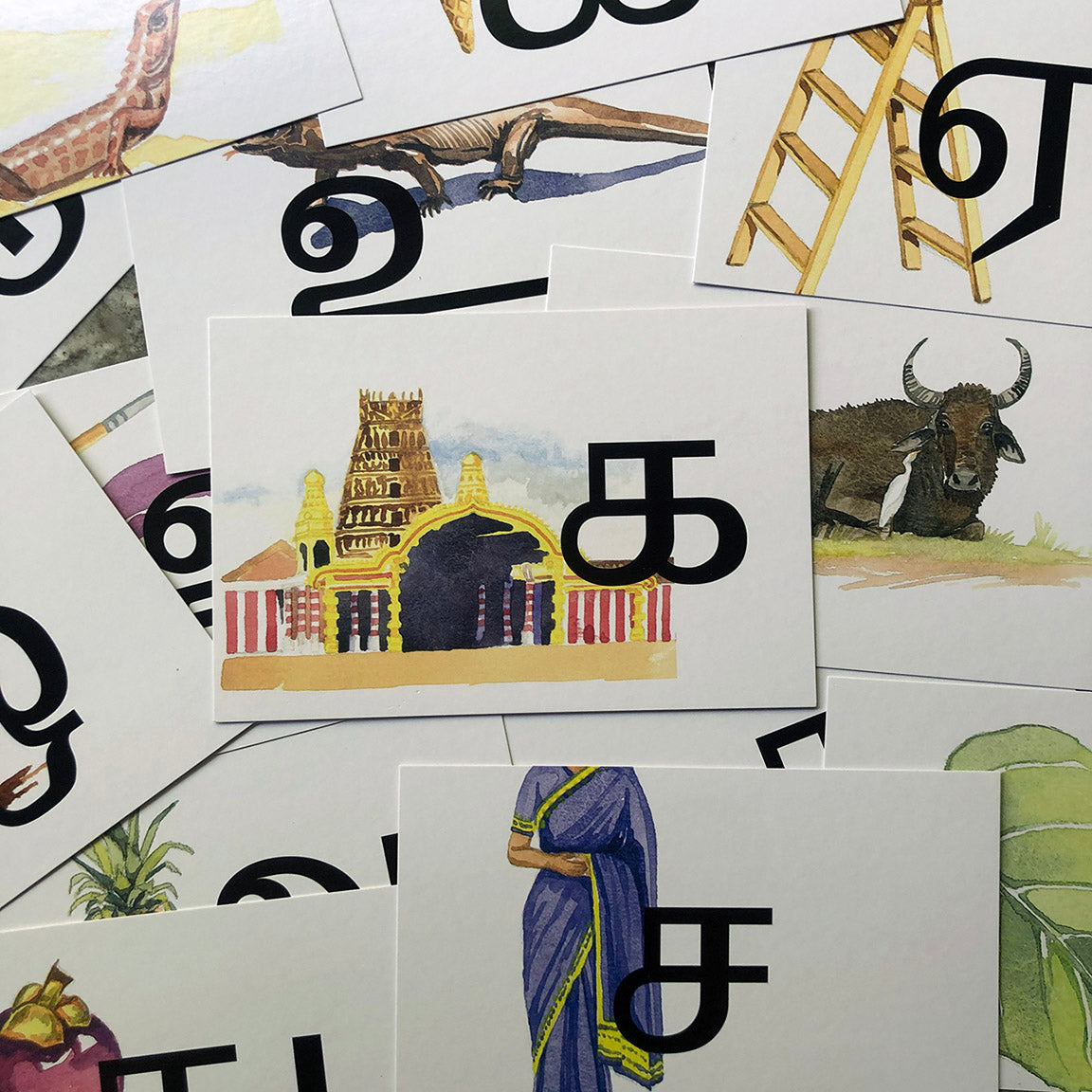 Tamil Alphabet Card Pack. Illustrated by Lynda Gill.
