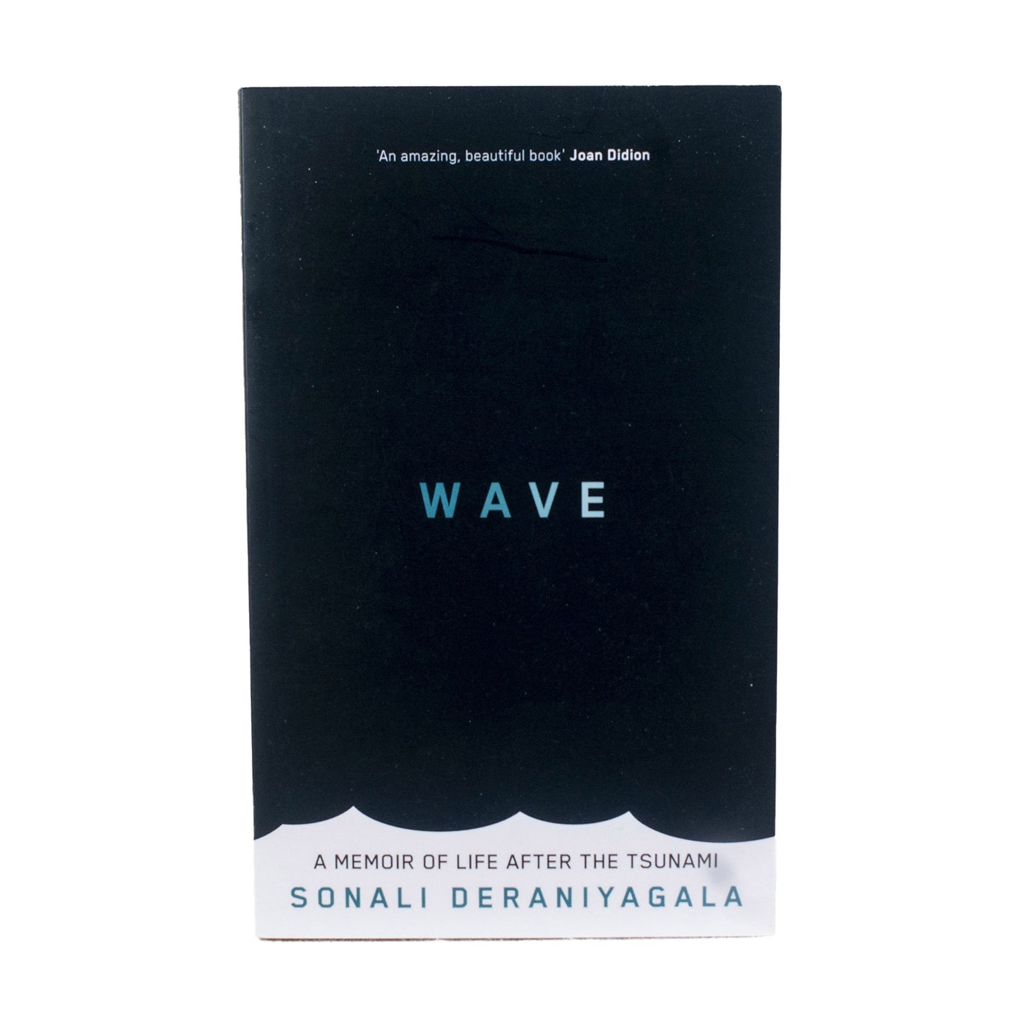 Wave by Sonali Deraniyagala