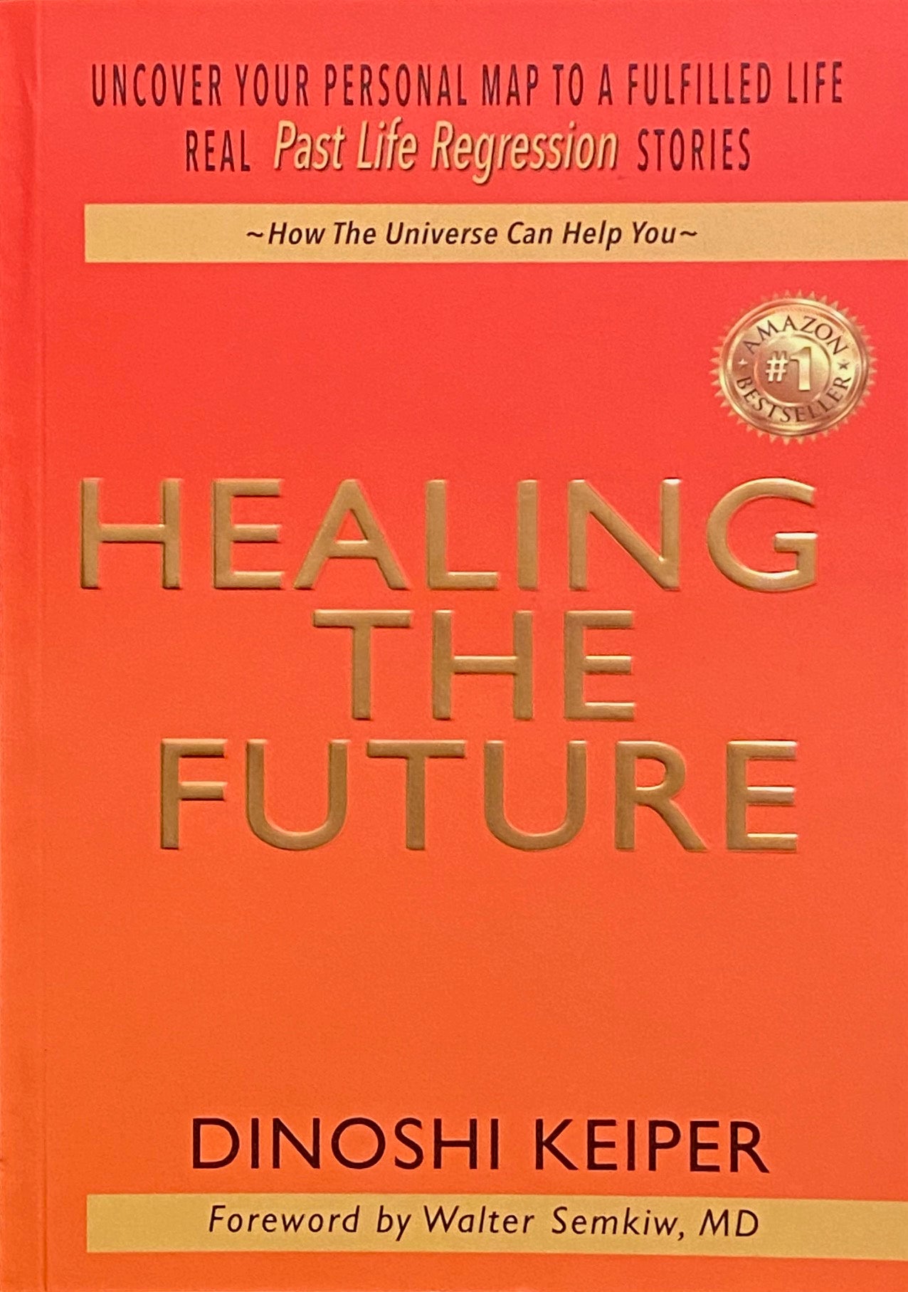 Healing the Future by Dinoshi Keiper
