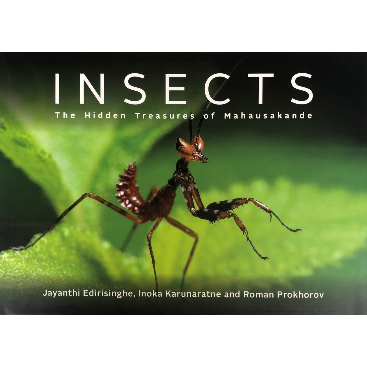 Insects: The Hidden Treasures of Mahausakande by Jayanthi Edirisinghe, Inoka Karunaratne and Roman Prokhorov