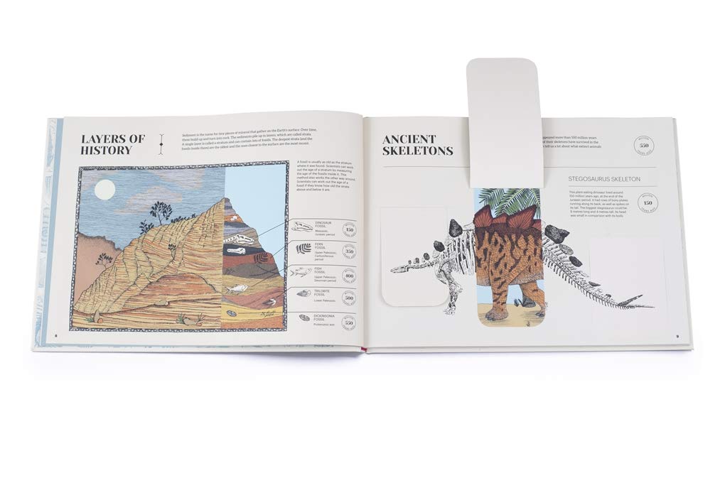 How Life on Earth Began: Fossils · Dinosaurs · The First Humans by Aina Bestard