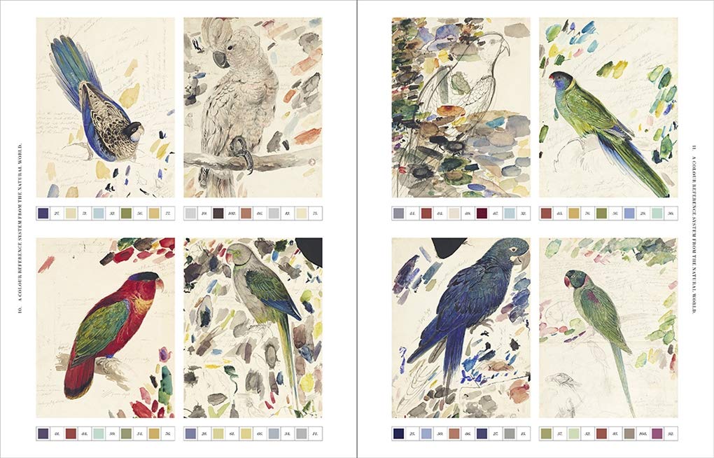 Nature's Palette: A Colour Reference System From the Natural World by  Patrick Baty