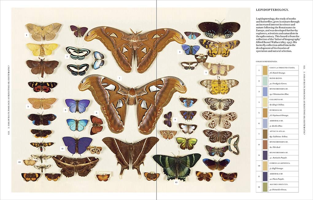 Nature's Palette: A Colour Reference System From the Natural World by  Patrick Baty
