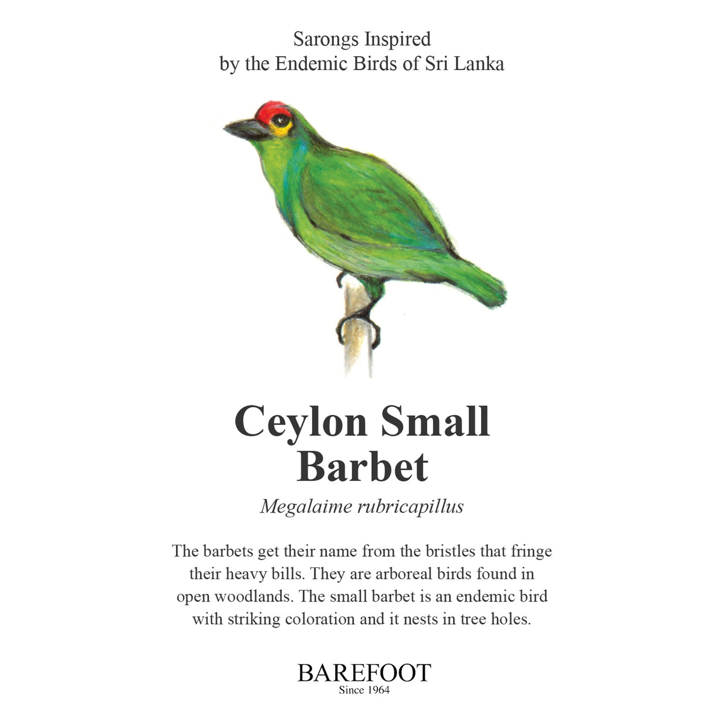 Designer Sarong: Ceylon Small Barbet