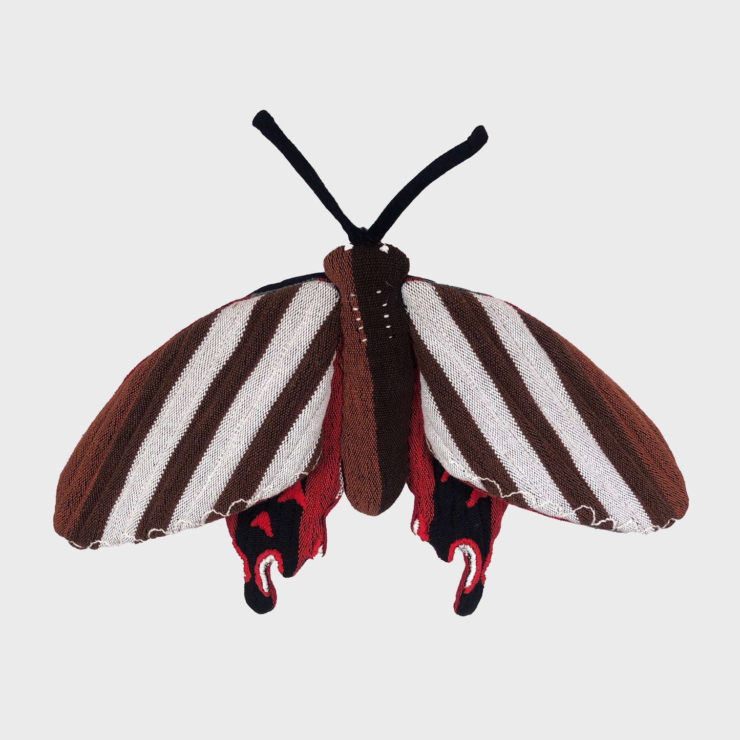 Ceylon Rose Butterfly