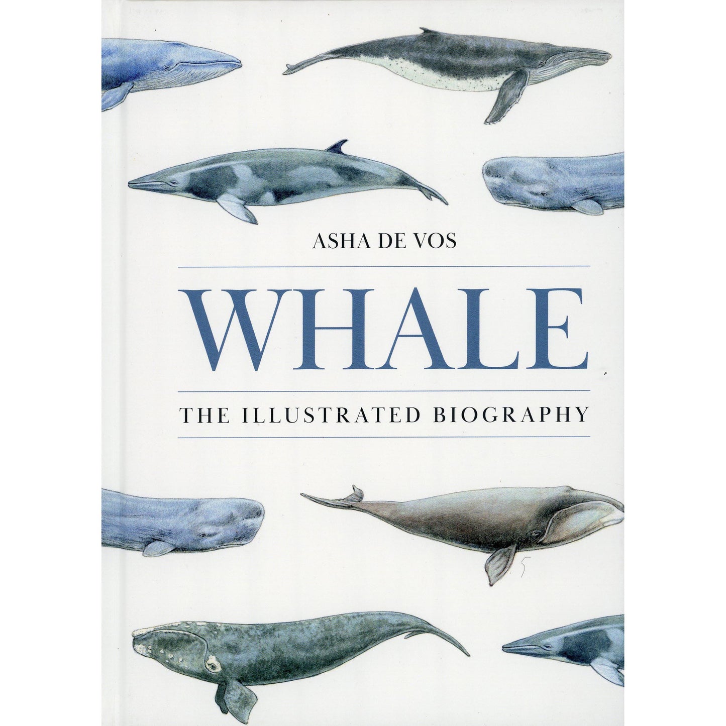 Whale: The Illustrated Biography by Asha de Vos