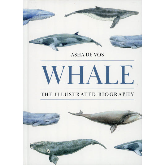 Whale: The Illustrated Biography by Asha de Vos