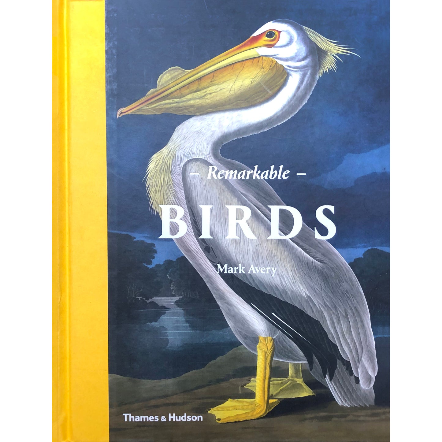Remarkable Birds by Mark Avery