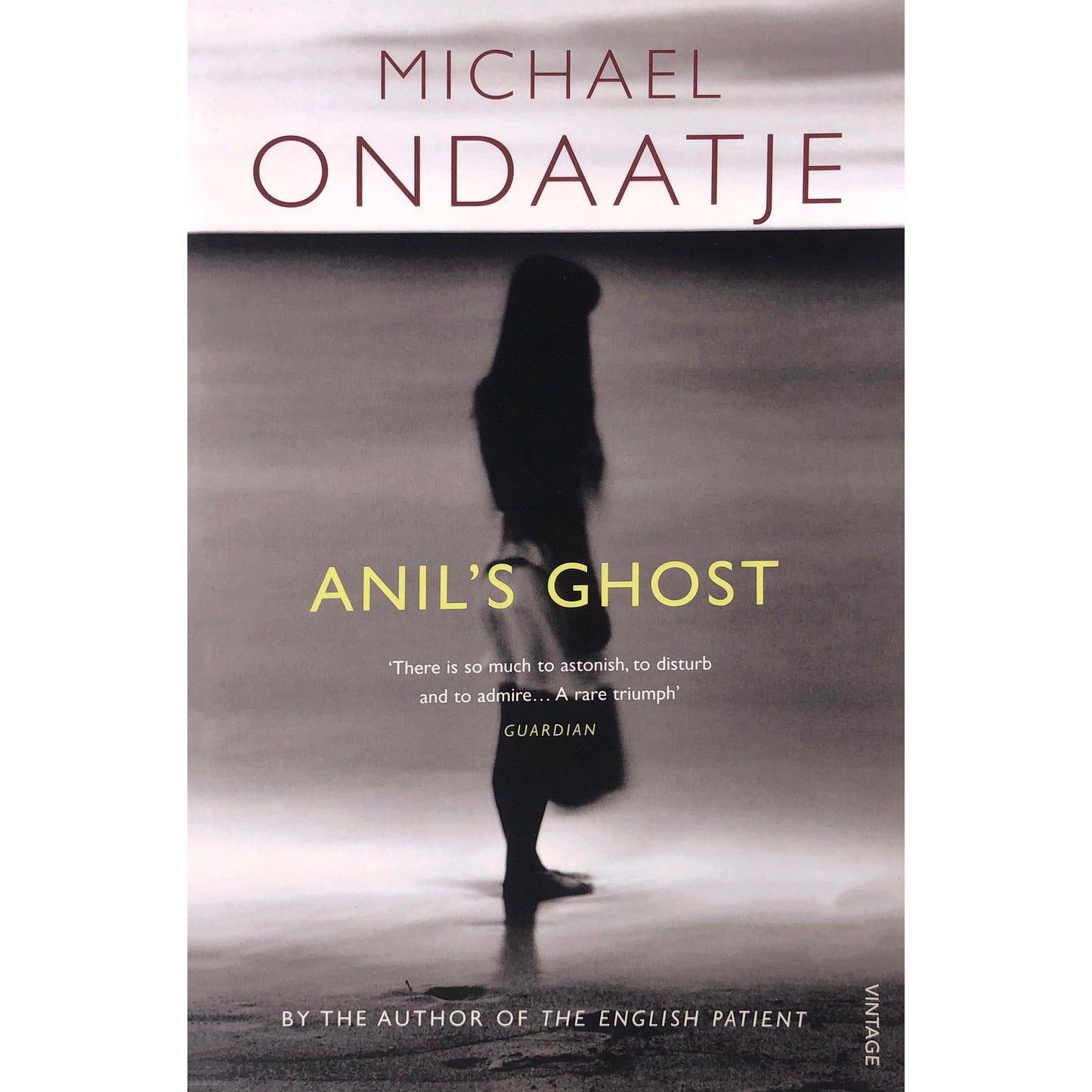 Anil's Ghost by Michael Ondaatje