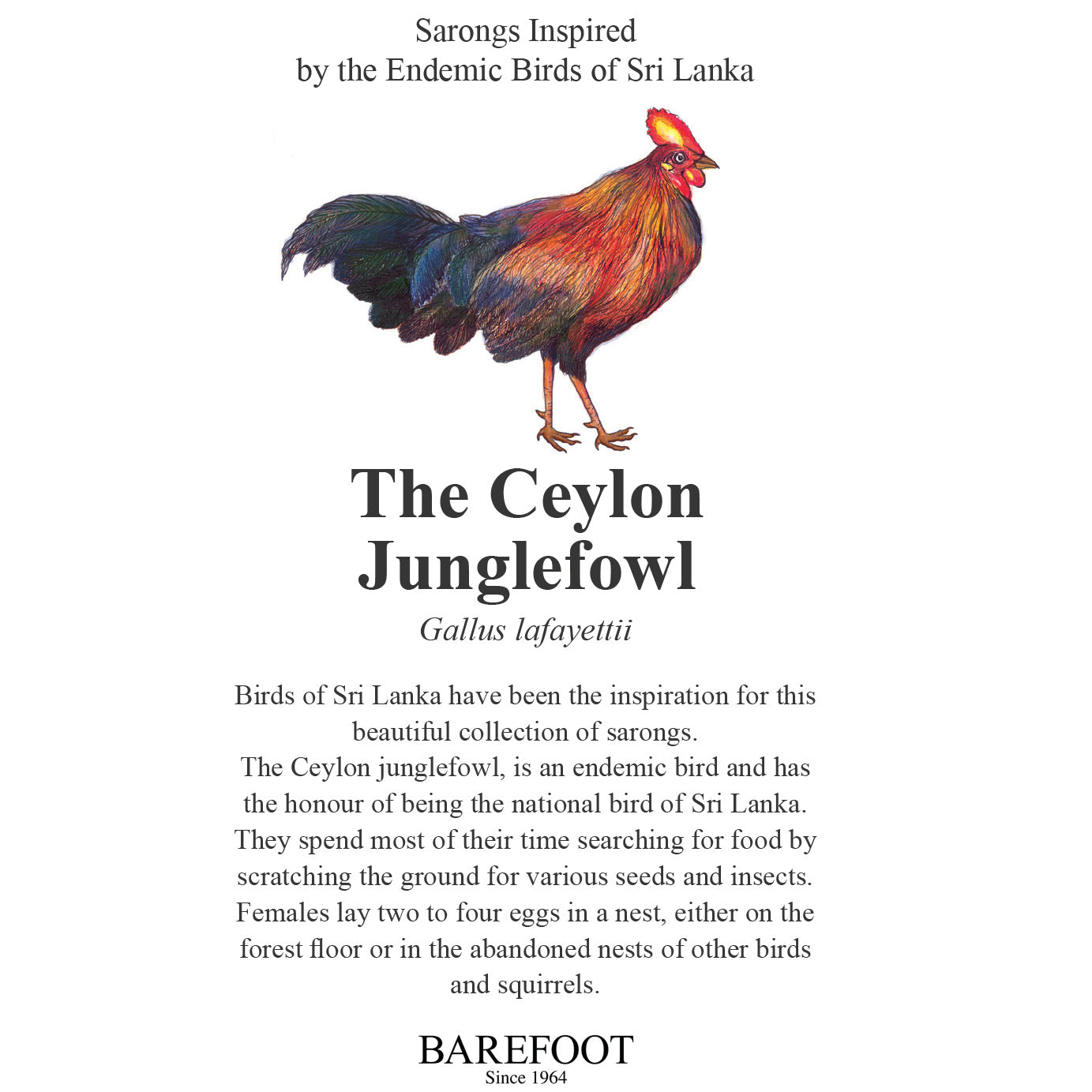 Designer Sarong: The Ceylon Junglefowl