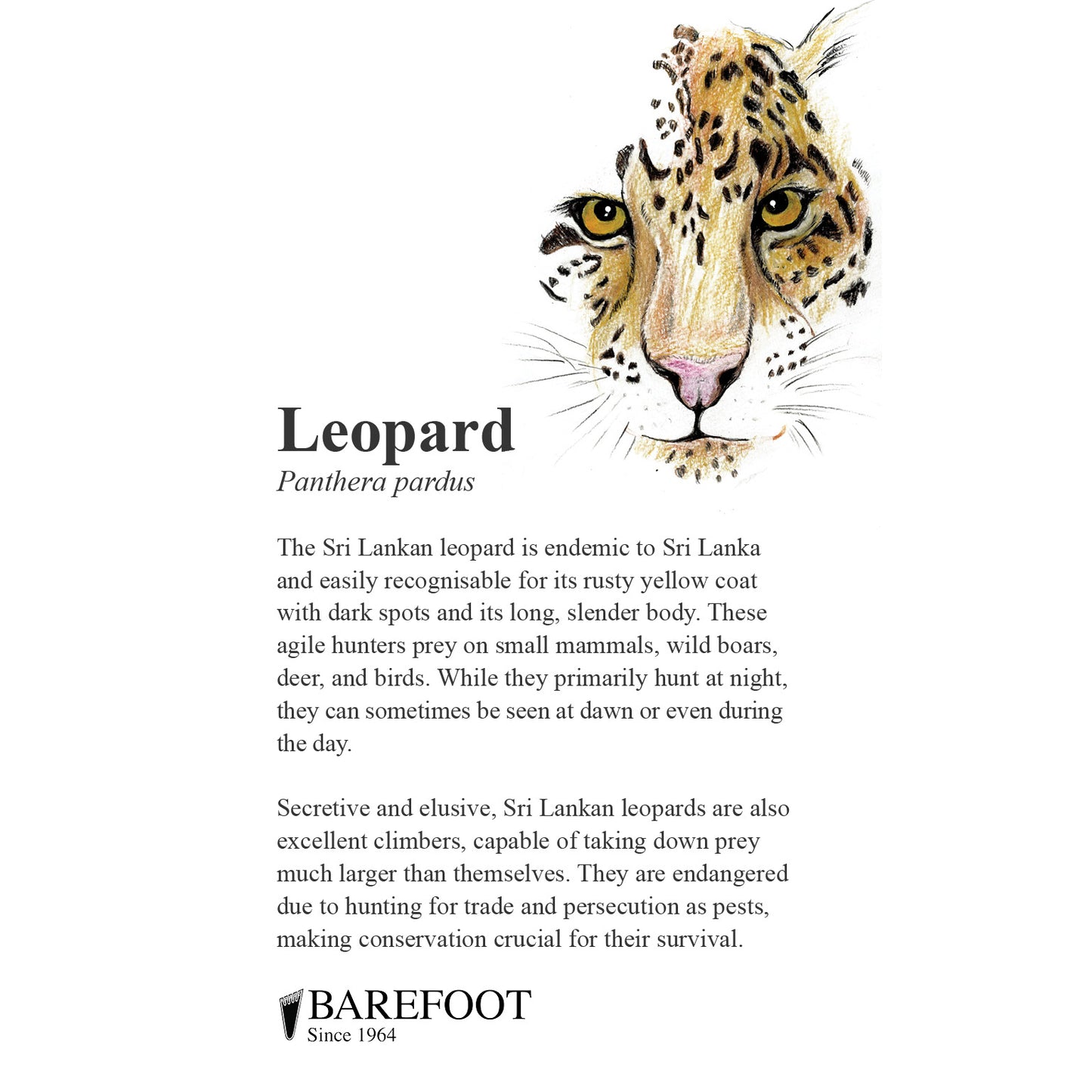 Designer Sarong: Leopard