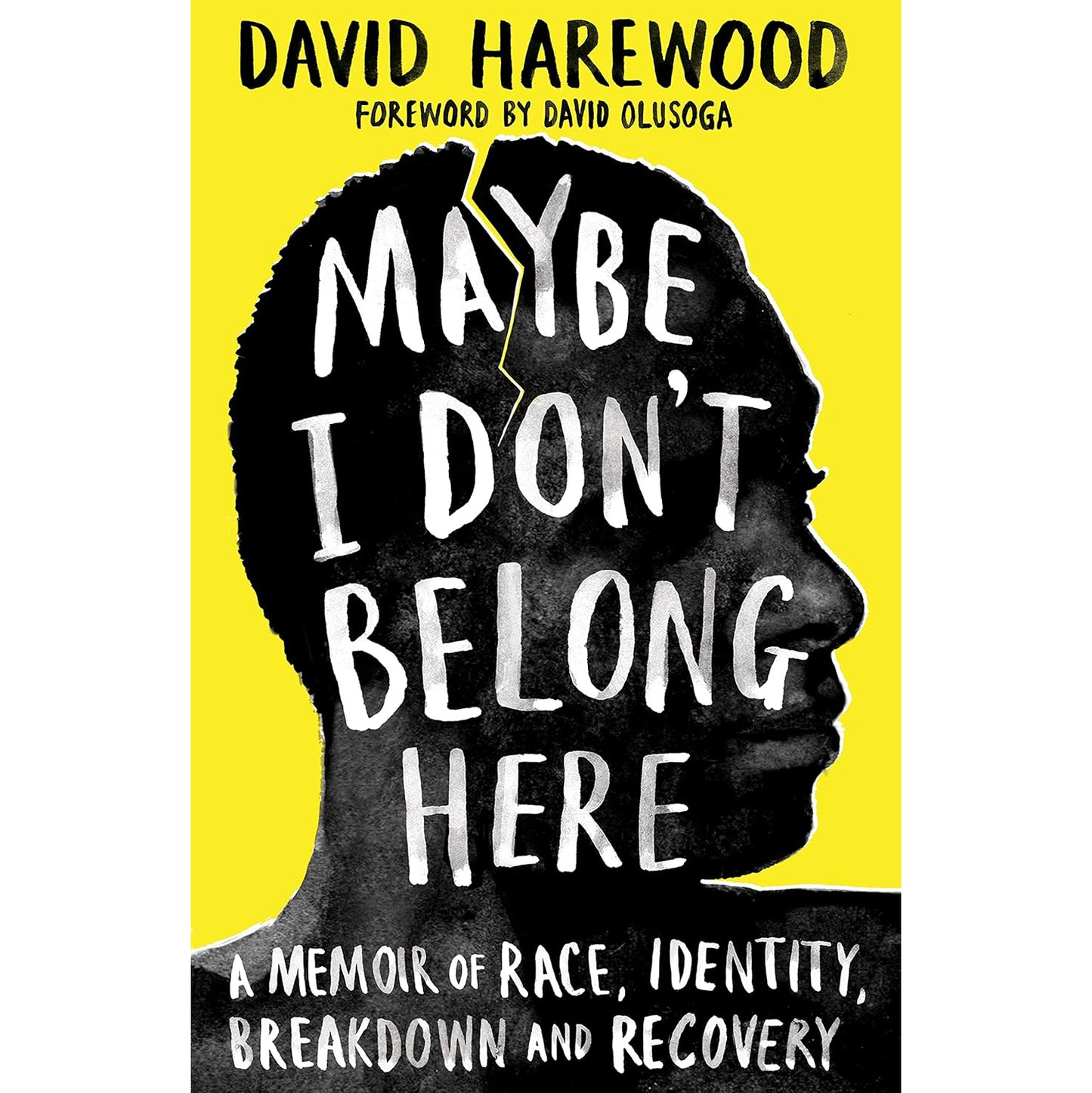 Maybe I Don’t Belong Here by David Harewood