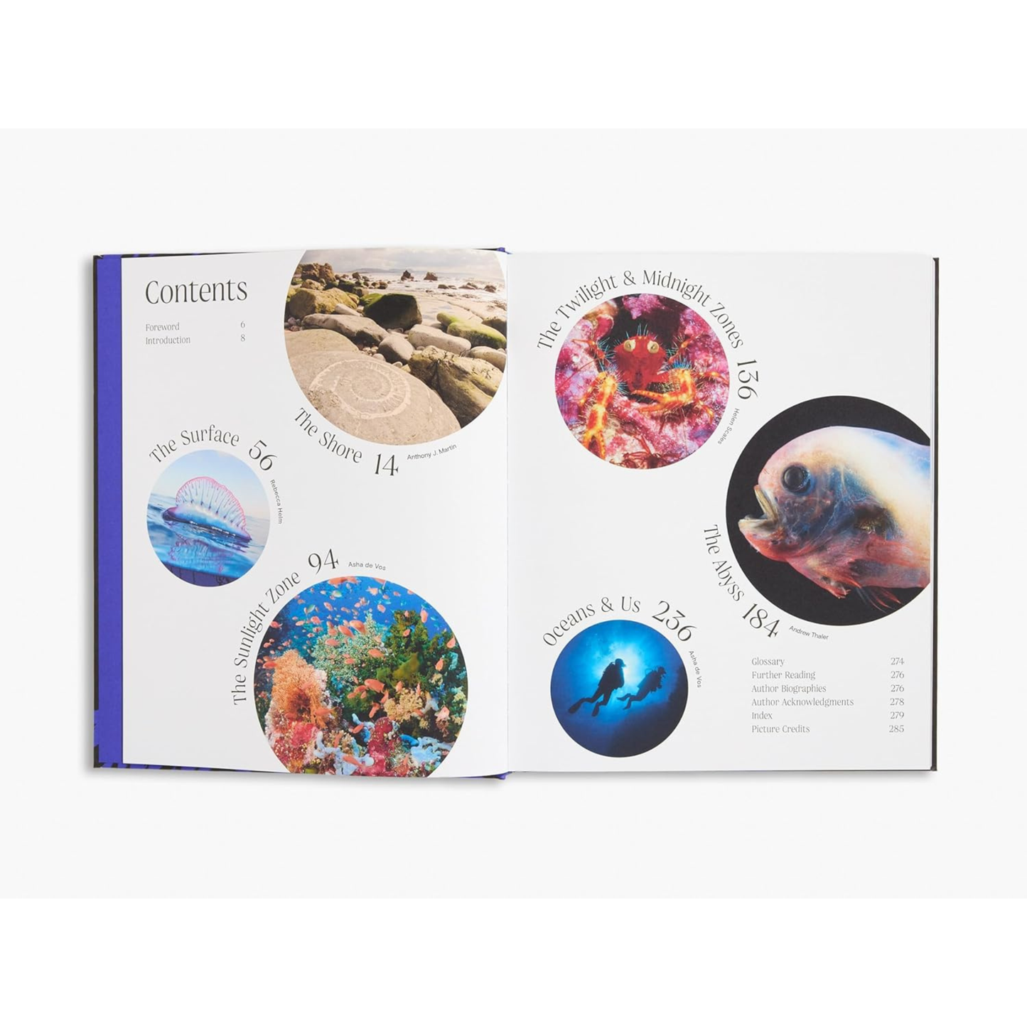 Ocean: From the Shore to the Abyss by Asha de Vos (Author), Peter Godfrey-Smith