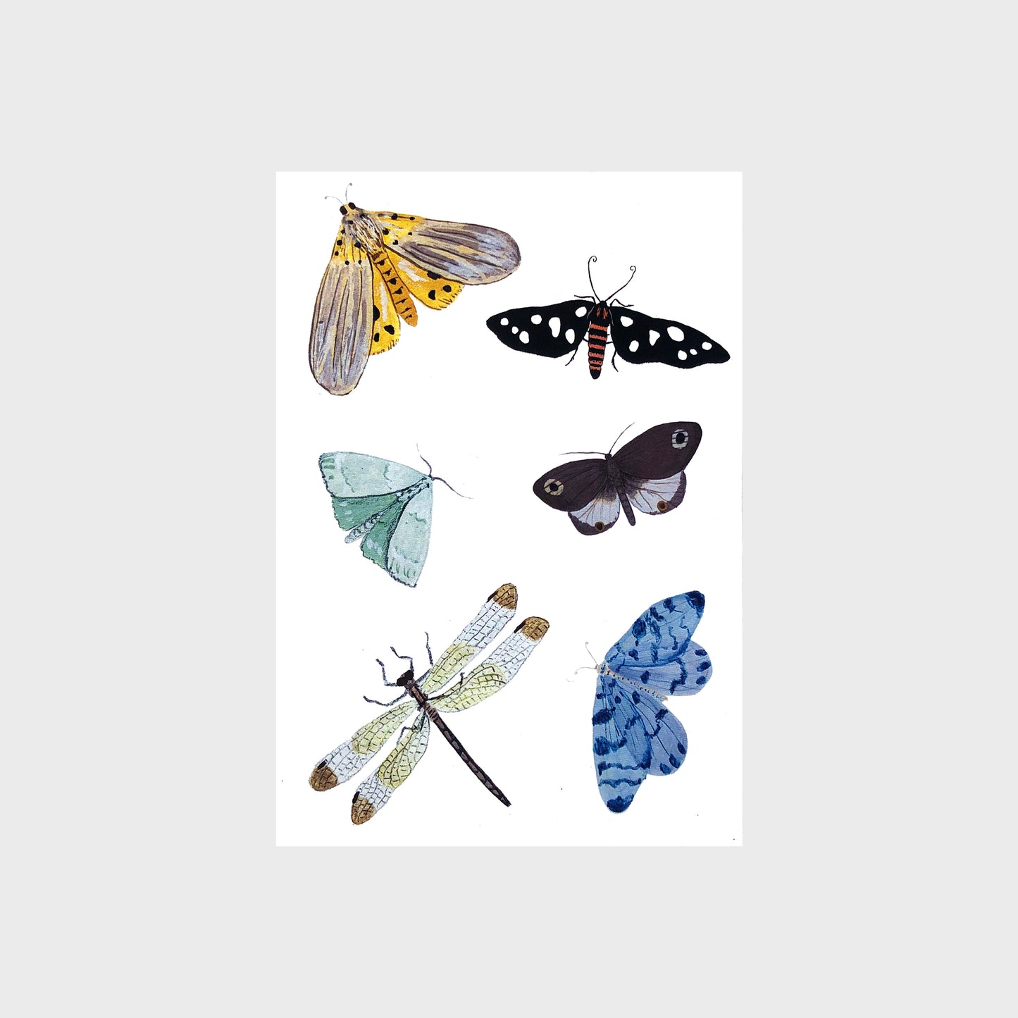 Post Cards by Ninalu