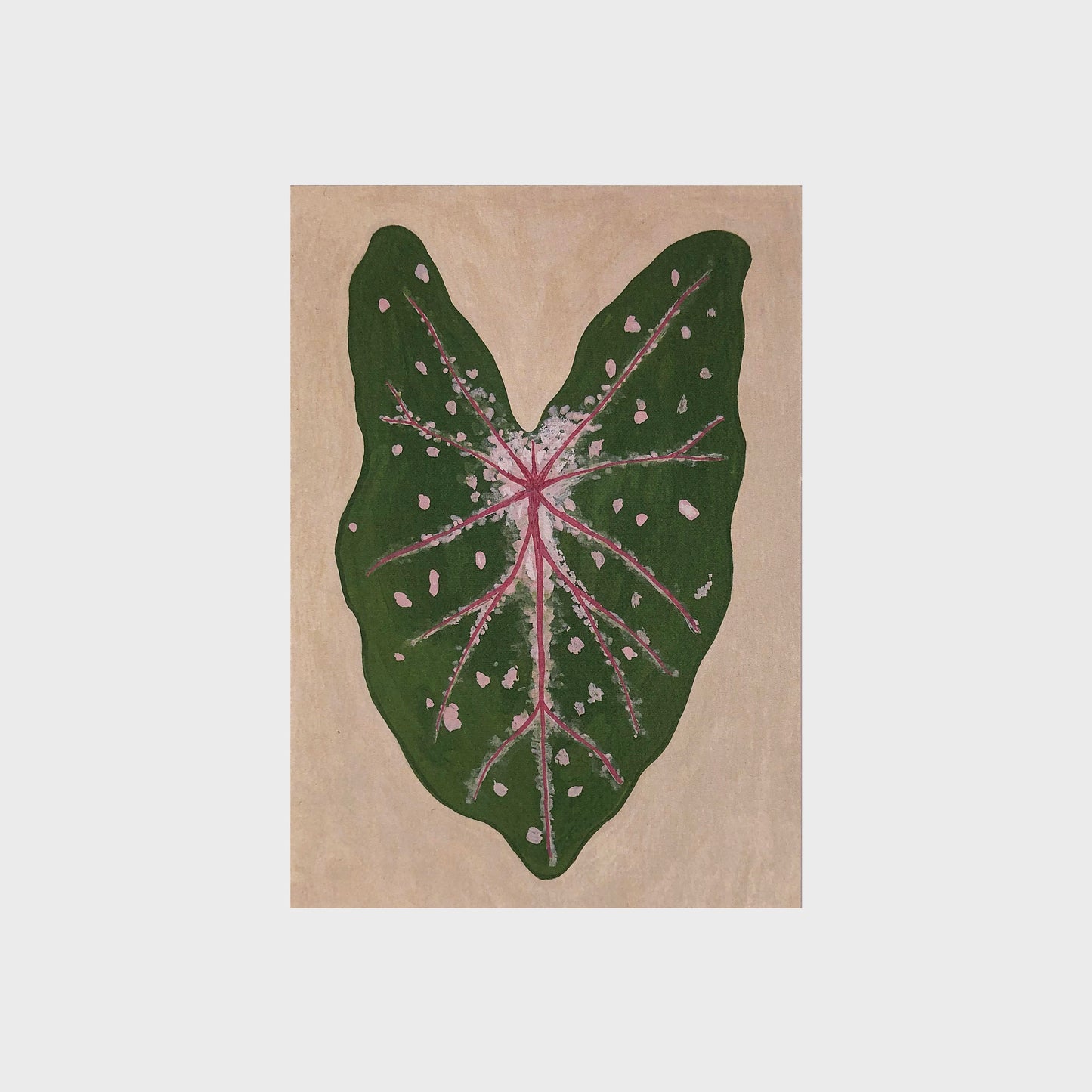 Post Cards by Ninalu