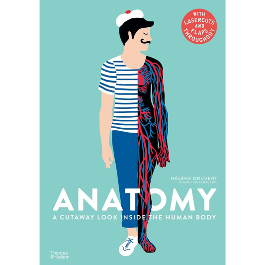 Anatomy: A Cutway Look Inside the Human Body by Helene Druvert & Jean-Claude Druvert