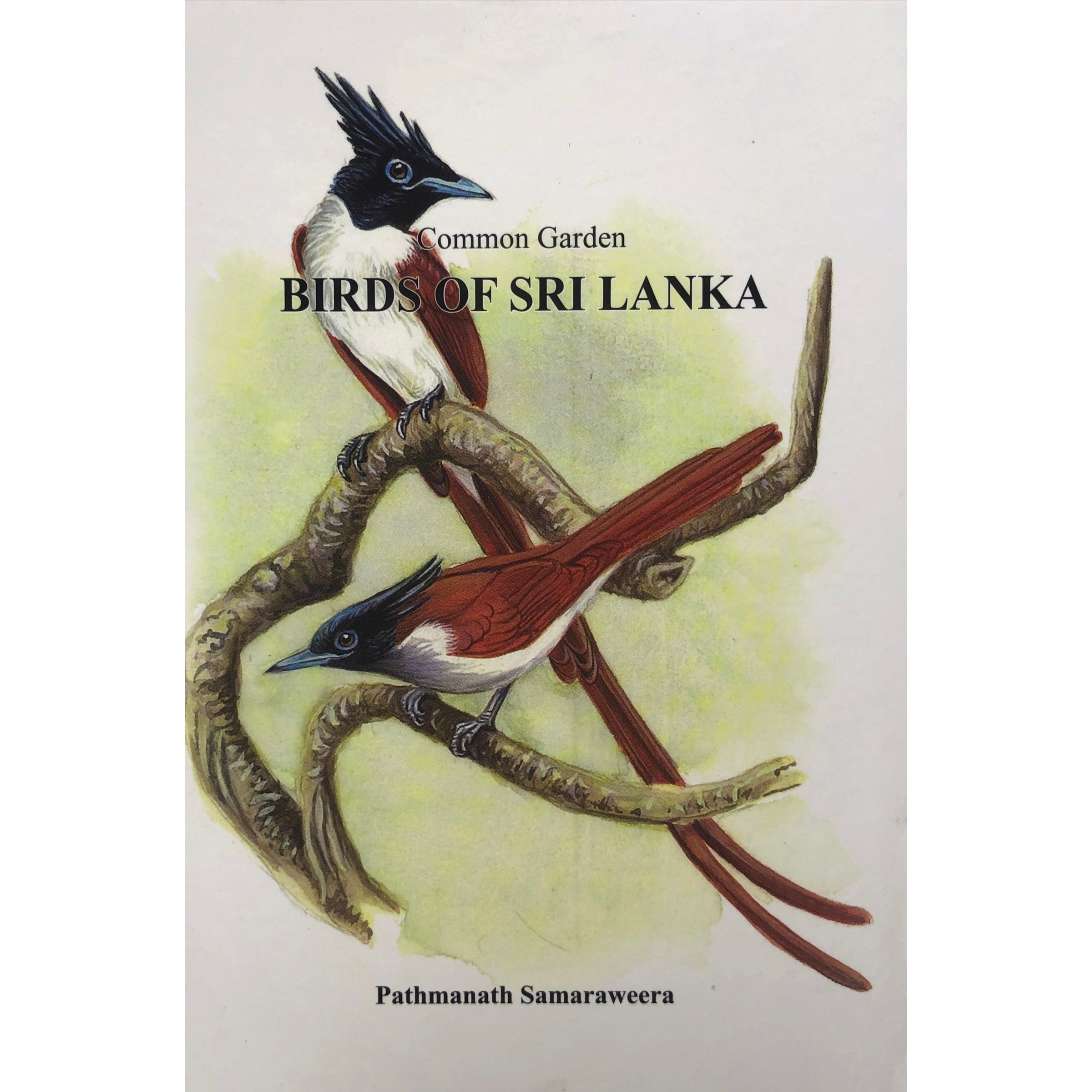 Common Garden Birds of Sri Lanka by Pathmanath Samaraweera – BAREFOOT