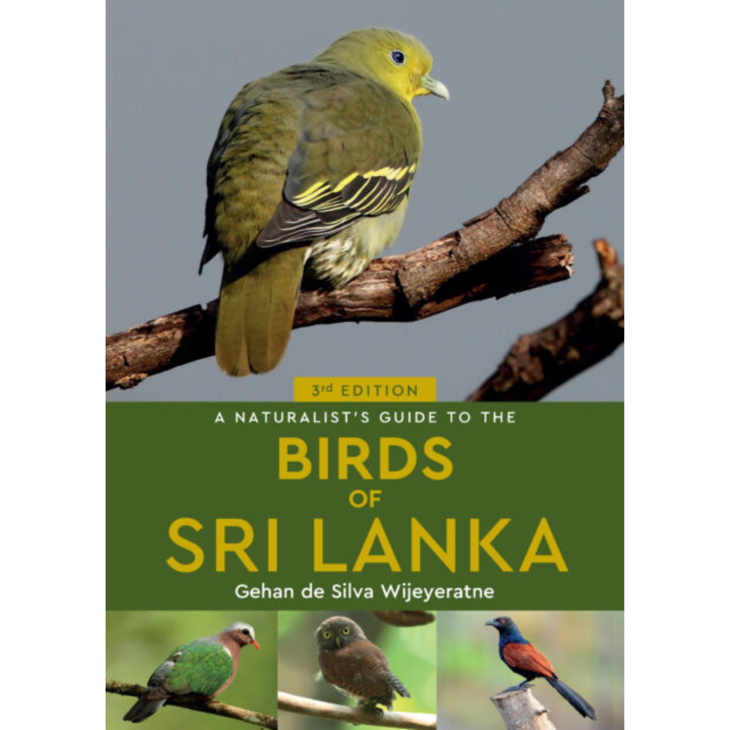 A Naturalist's Guide to the Birds of Sri Lanka by Gehan de Silva Wijeyeratne