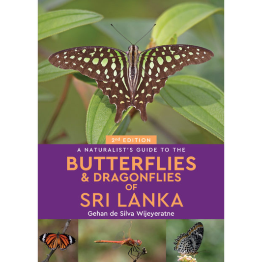 A Naturalist's Guide to the Butterflies and Dragonflies of Sri Lanka by Gehan de Silva Wijeyeratne