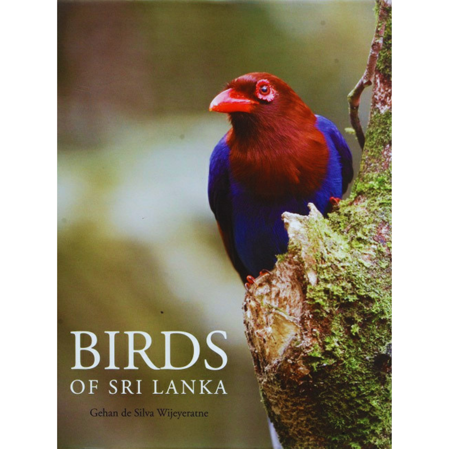 Birds of Sri Lanka by Gehan de Silva Wijeyaratne