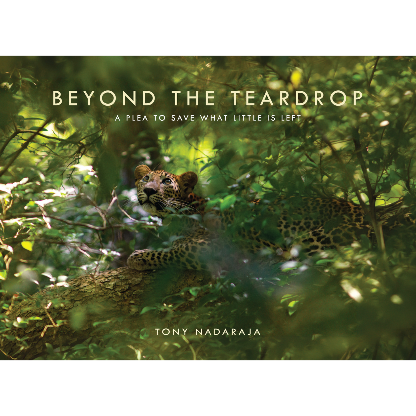 Beyond the Teardrop: A Plea to Save What Little is Left by Tony Nadaraja